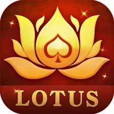 rummy plus withdrawal download